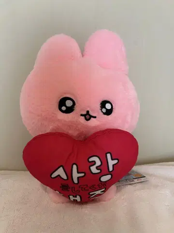 체고심, 봉제 인형 하트 포함