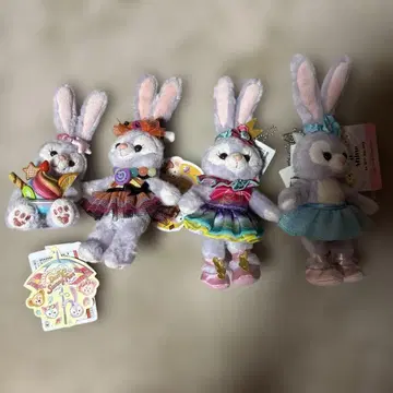 스텔라 세트