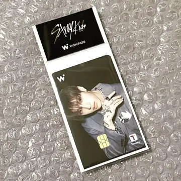Stray Kids WOWPASS(와우패스)