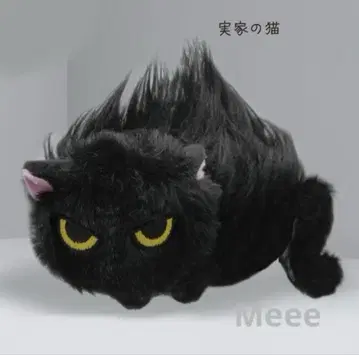낯을 가리는 고양이 봉제 인형 친정 고양이