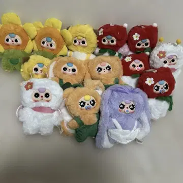 베이비 쓰리 봉제 인형 꽃 시리즈 모음