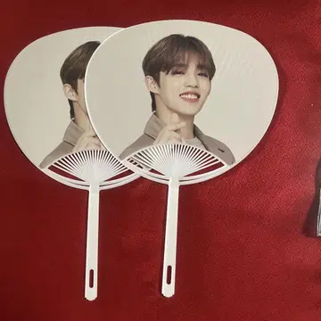 세븐틴 ode to you 라이브 뷰 미니 부채
