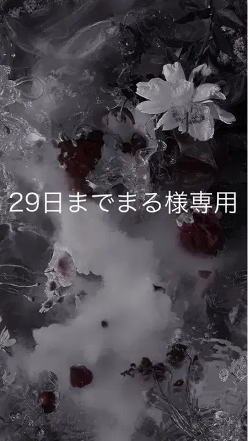 세구치 레야