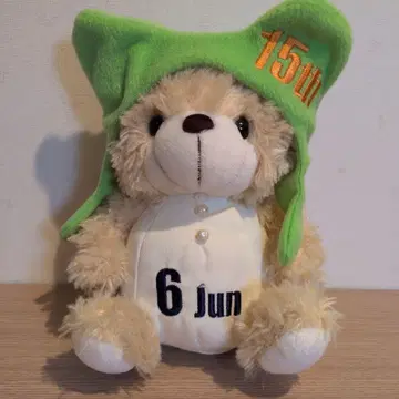 6 Jun 15th 기념 곰 봉제 인형