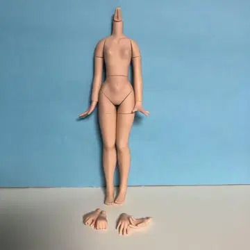 퓨어니모 어드밴스 S 내추럴 피부 중고품 리카짱 브라이스
