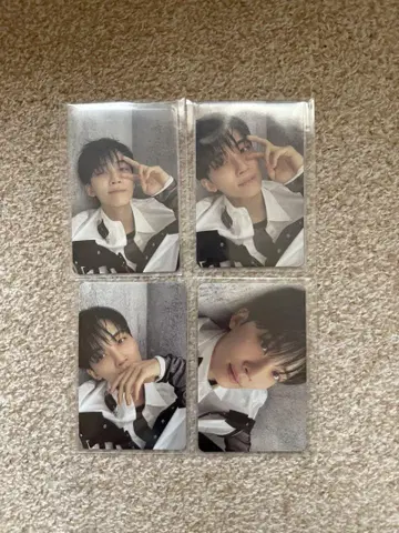 세븐틴 정한 face the sun 트레이딩 카드