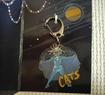 CATS 시크릿 참 세이타이 공연