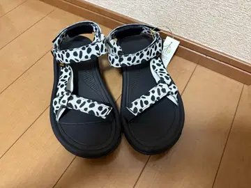 Teva 허리케인 25cm 달마시안