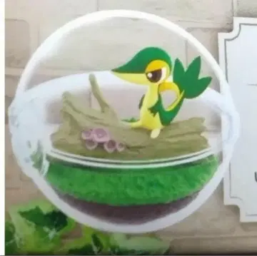 포켓몬 츠타자 테라리움 컬렉션 12 리멘트