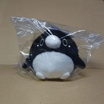 테이코 펭귄 봉제 인형 펭귄