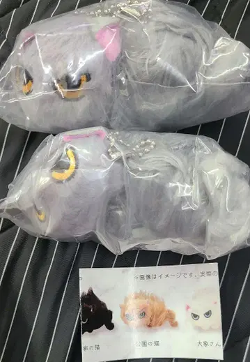 나츠카이 고양이 봉제 인형