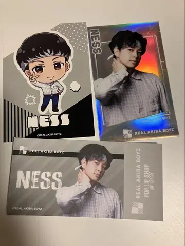 리얼 아키바 보이즈 네스 마루이
