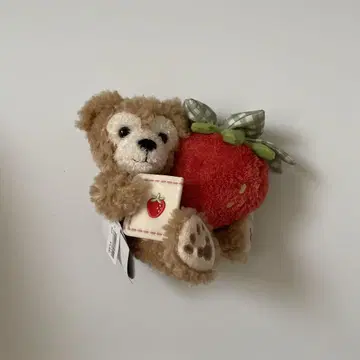 스트로베리 기프트 더피 봉제 인형