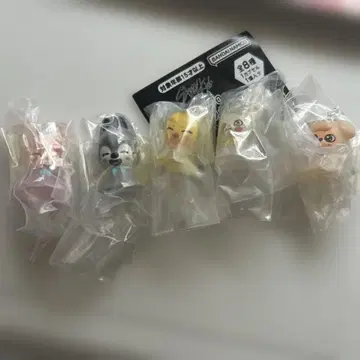 SKZOO 메지루시 액세서리 5종 세트