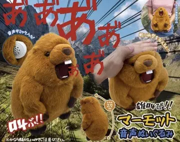 수컷의 울음소리 마모트 음성 봉제 인형