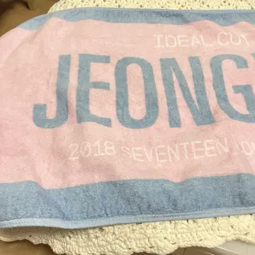 세븐틴 정한 타월