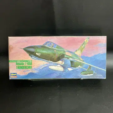 Hasegawa Republic F-105D 썬더치프