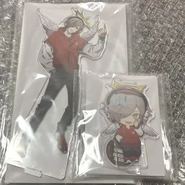 CrazyRaccoon 달마이즈갓