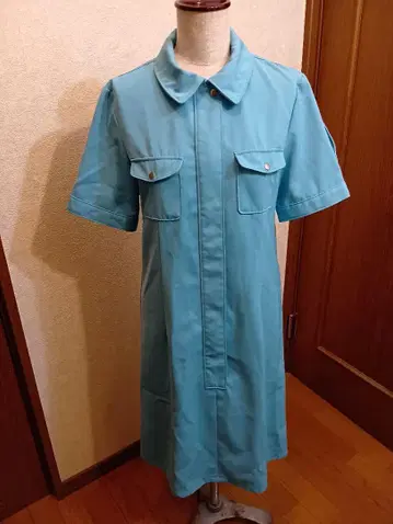 메이와 전기 원피스