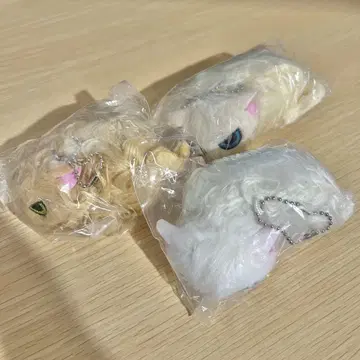 낯을 가리는 고양이 봉제 인형 3종 세트