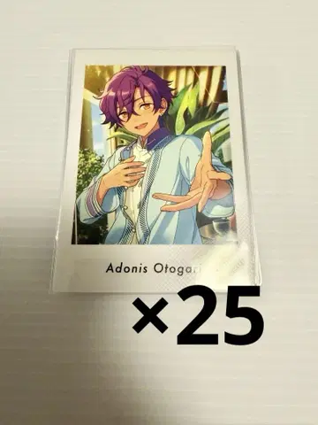 아도니스 25