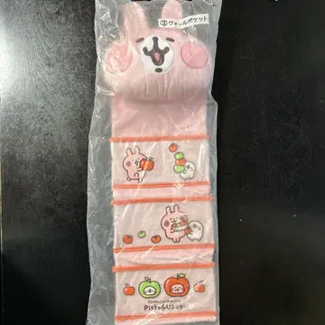 카나헤이 작은 동물 피스케와 토끼 복권 당첨 월 포켓