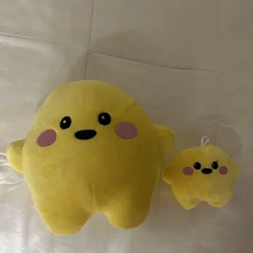 독일관 서큘러 2개