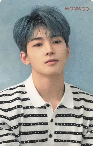 SEVENTEEN 춤추는 꽃잎 WONWOO 트레이딩 카드