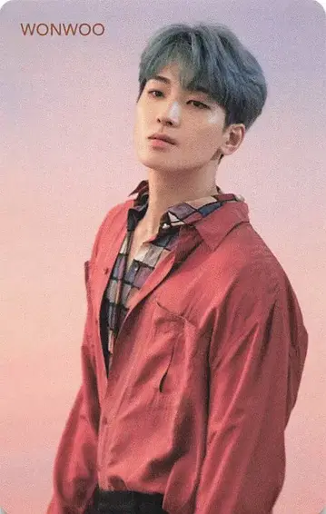 SEVENTEEN 춤추는 꽃잎 WONWOO 트레이딩 카드