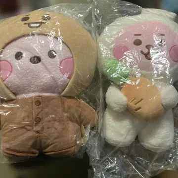 타톤 L 사이즈 쿠키 2개 세트