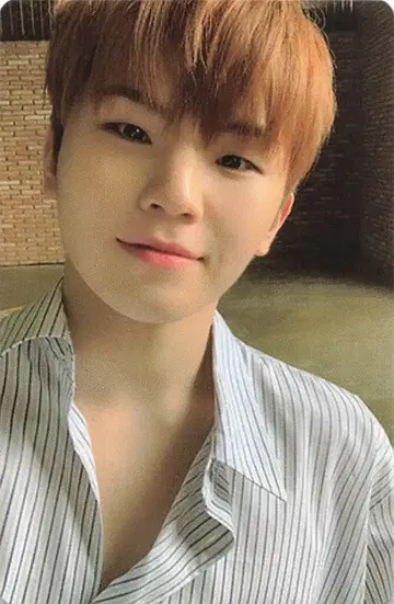 SEVENTEEN An Ode WOOZI 트레이딩 카드 파랑