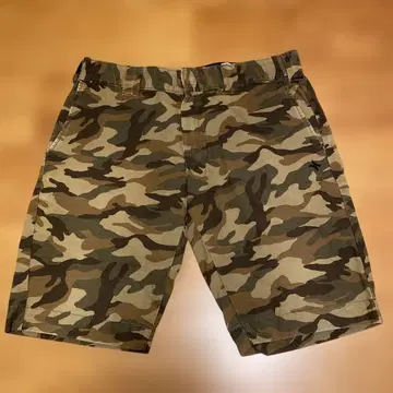 Dickies Hurley 카모플라쥬 숏팬츠 32