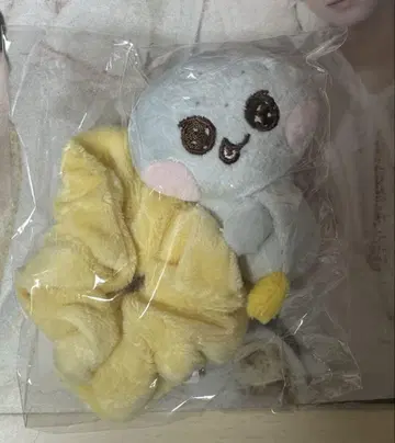 riize 은석 스크런치