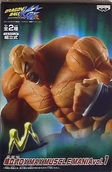 반프레스토 DB 카이 조립식 DXMAXMUSCLEMANIA 01 내퍼