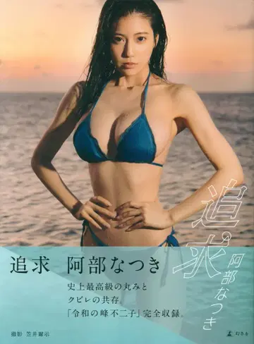 아베 나츠키 추적