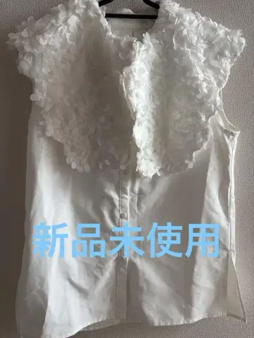 벌스데이 보쉬