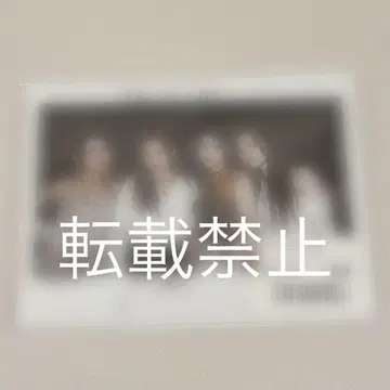 IS:SUE 멤버 전원 친필 사인 폴라로이드