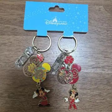 홍콩 디즈니랜드 페어 키링