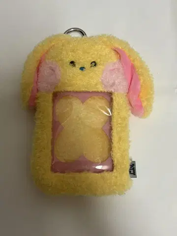 NEWJEANS 트레이딩 카드 케이스 BUNINI