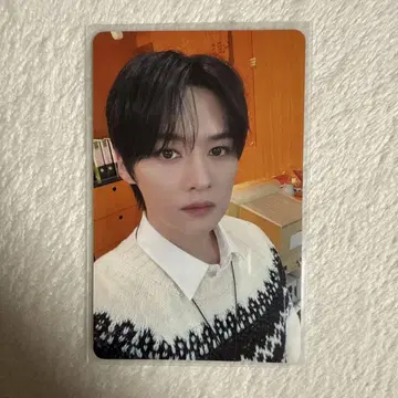 리노 트레이딩 카드