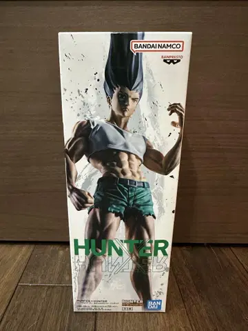 HUNTER x HUNTER 피그라이프 곤 헌터헌터