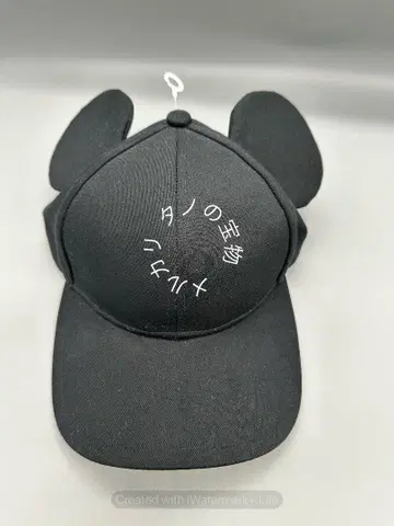 도쿄 디즈니 블랙 미키 캡 팬 캡
