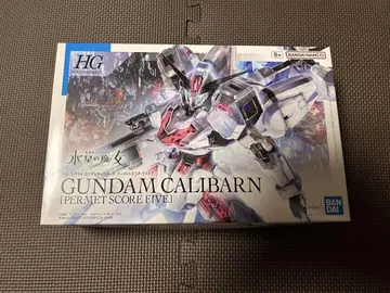 HG 1/144 건담 칼리버 (퍼멧 스코어 5)