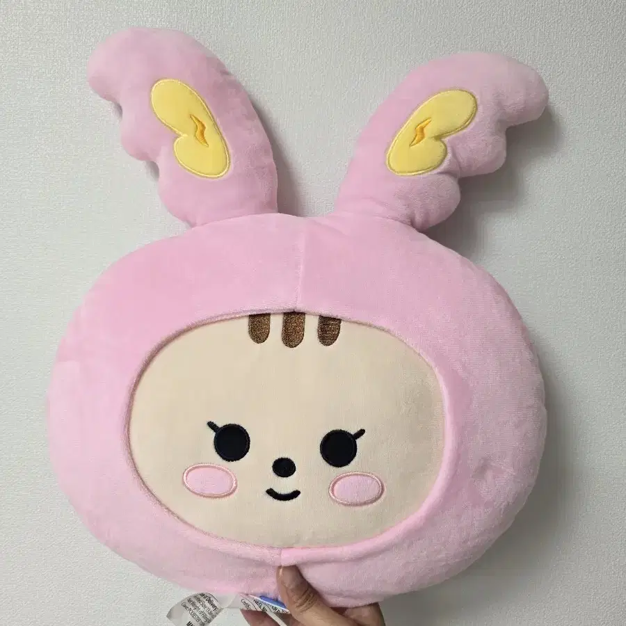 SEVENTEEN | 세븐틴 Seventeen) Mini Teen Toram Cushion