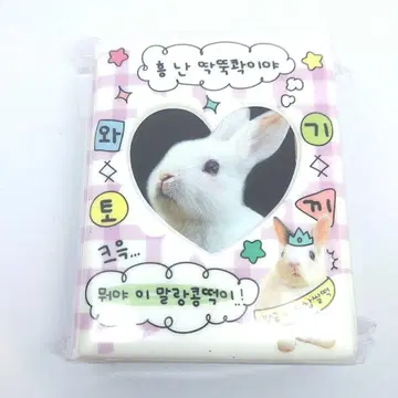 한국 한글 토끼 트레이딩 카드 홀더 트레이딩 카드 케이스 익명 배송