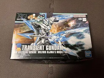 HG 1/144 트랜전트 건담