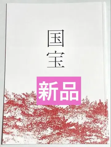 새상품 미개봉 영화 국보 팜플렛 요시자와 료 요코하마 유성
