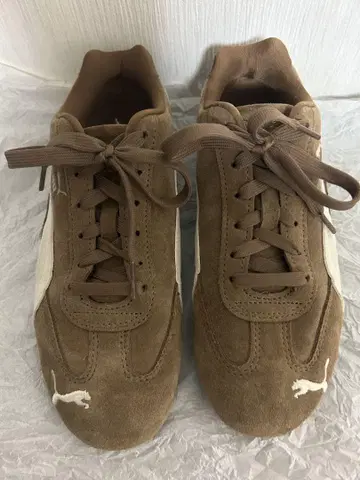 puma 푸마 스피도 캣 브라운 23.5