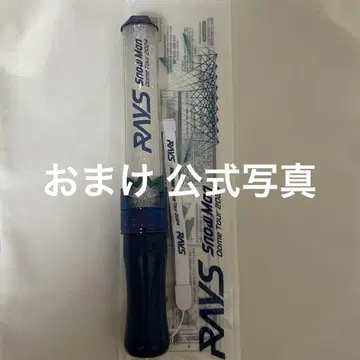 [덤 포함] SnowMan RAYS 응원봉