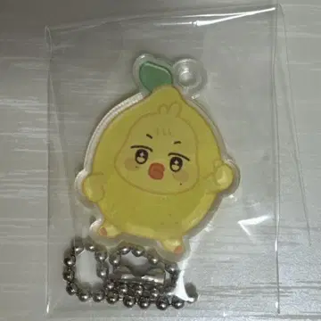 ateez soundwave aniteez 아크링 키링 민기 평민